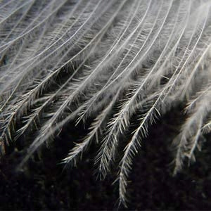 Mountval Down Wash 300 ml